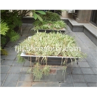 芝麻黑石材工程案例