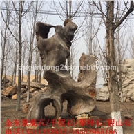 精品景观石系列