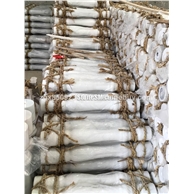 广西白异型栏杆