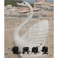 天鵝