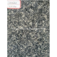 太平洋蓝、太平洋兰