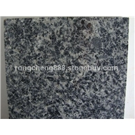 太平洋兰、太平洋蓝