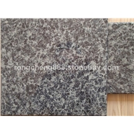 太平洋兰、太平洋蓝