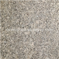 承德绿11号火烧