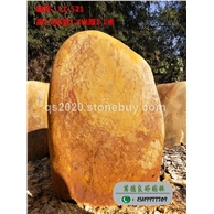 北海森林公园主题黄蜡石