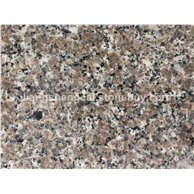 新品广西梅花红