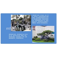 太湖石厂家太湖石批发精修假山石